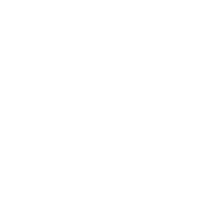 Stellar Shift Studio Logo